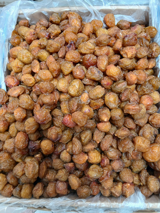 الو بخارای آفتابی طرقبه