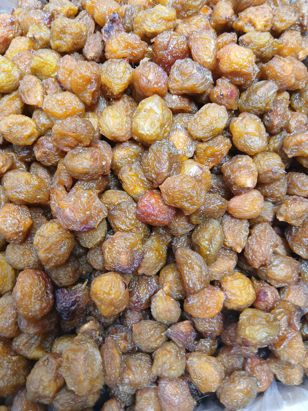 الو بخارای آفتابی طرقبه