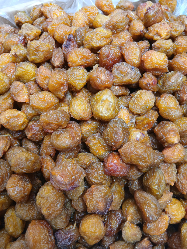 الو بخارای آفتابی طرقبه